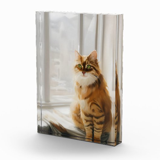 Vloeiend gemberkat in het venster fotoblokken (Rechts)