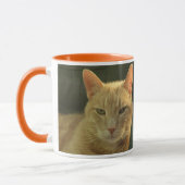 "Vloeiend. Ginger. Ooit." mok ontwerpkat (Links)