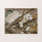 Vloeiend katje met blauwe ogen in een boom legpuzzel (Horizontaal)