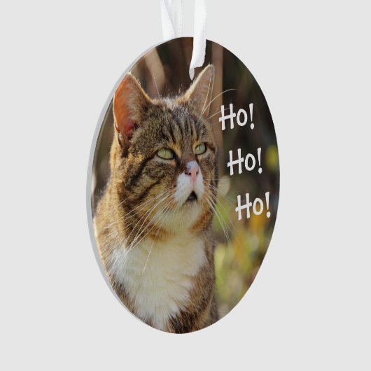 Vloeiend kerstcadeautje ornament (voorkant)