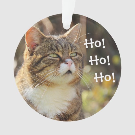 Vloeiend kerstcadeautje ornament (voorkant)