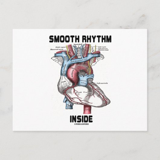 Vloeiend ritme binnenin (medisch anatomisch hart) briefkaart (Voorkant)