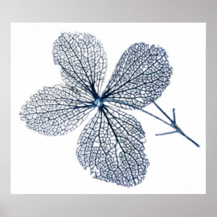 Vloeiend Skelet ~ print