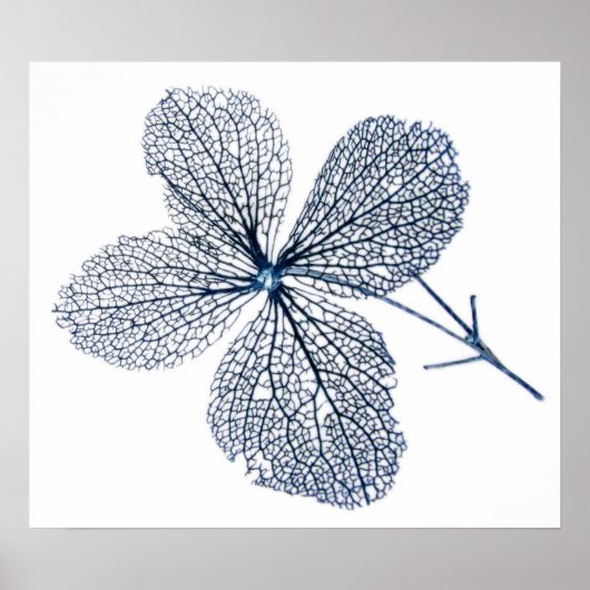 Vloeiend Skelet ~ print (Voorkant)