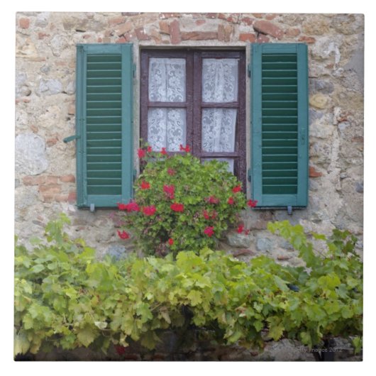 Vloeiend vak in venster tegeltje (Voorkant)