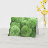 Vloeiende bloemen! Green Dianthus Frameable Art Kaart (Gele Bloem)