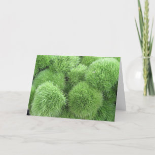 Vloeiende bloemen! Green Dianthus Frameable Art Kaart