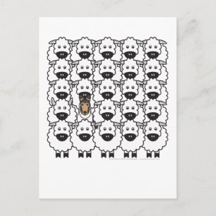 Vloeiende collie in de schapen briefkaart
