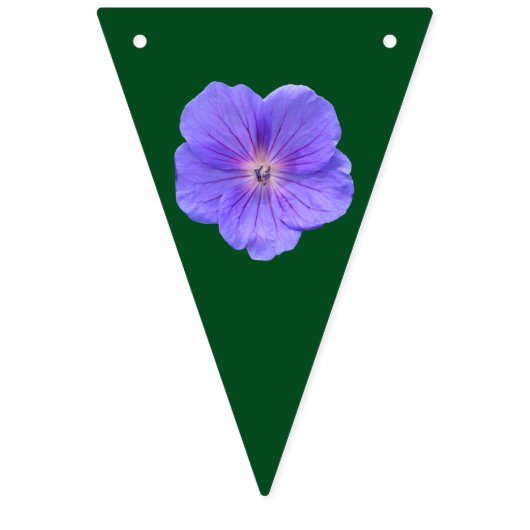 Vloeiende Decor Garden Party Celebration Vlaggetjes (Eerste vlag)