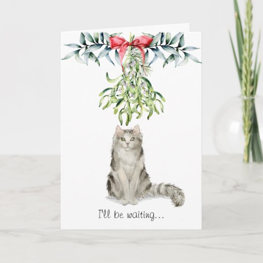 Vloeiende kat onder de Mistletoe-kerstKaart Kaart (Voorkant)