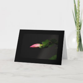 Vloeiende kerstbloem met Cactus Feestdagen Kaart