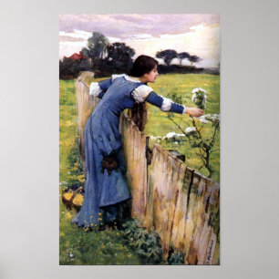 Vloeiende plukker door John Waterhouse Print
