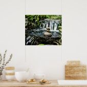 Vloeiende Rocks met waterval Poster (Keuken)