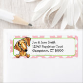 Vloeiende rode dachshund roze pooldots etiket (Insitu)