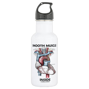 Vloeiende spieren binnen (grijs anatomiehart) waterfles