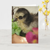 Vloeiende steen in bloemen kaart (Gele Bloem)