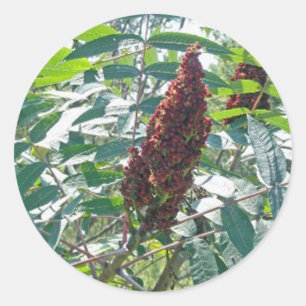 Vloeiende Sumac-bedekking die objecten aanpast Ronde Sticker