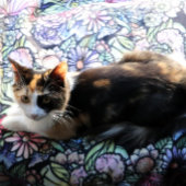 Vloeiende tuintuintuinen sherpa deken