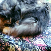 Vloeiende tuintuintuinen sherpa deken