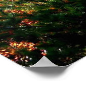 Vloeienkleuren van Maine Poster (Hoek)