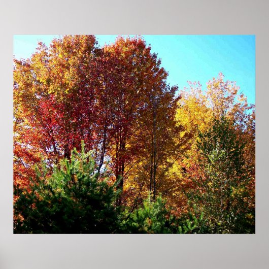 Vloeienkleuren van Maine Poster (Voorkant)