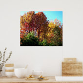 Vloeienkleuren van Maine Poster (Keuken)