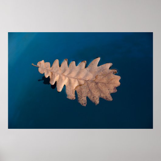 Vloeiing Poster (Voorkant)