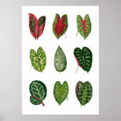 Vloeiing Poster (Voorkant)