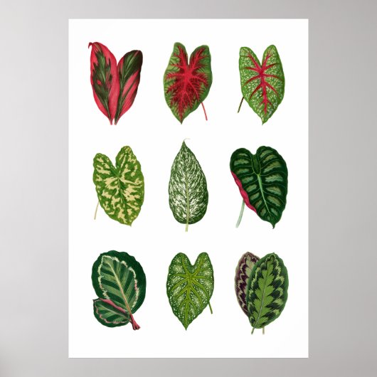 Vloeiing Poster (Voorkant)