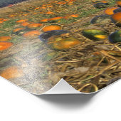 Vloeiingspluier van Flathead Valley Montana Foto Afdruk (Hoek)