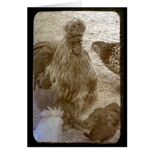 Vloeistof van vele kleuren (Voorkant)