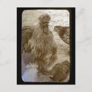 Vloeistof van vele kleuren briefkaart