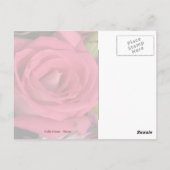 Vloer Bouquet Roze Briefkaart (Achterkant)
