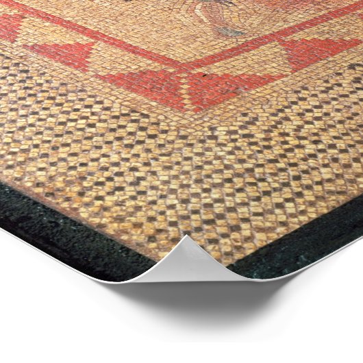 Vloer die een gladiator afschildert, van kant poster (Hoek)