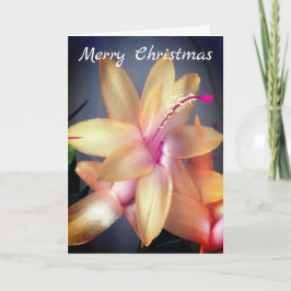 *~* Vloer kerstcactus aanpassen Feestdagen Kaart