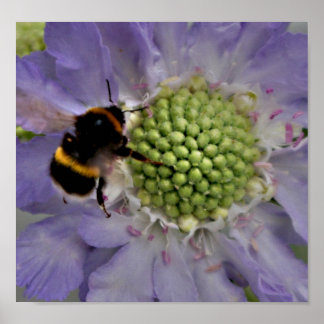 Vloer nr. 6 (detail) poster