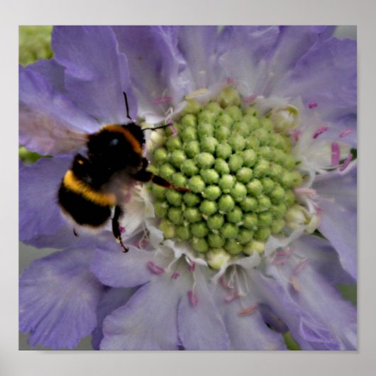 Vloer nr. 6 (detail) poster (Voorkant)