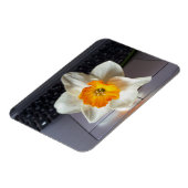 Vloer over toetsenbord magneet (Linkerzijde)