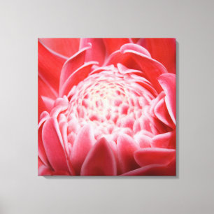 Vloer van Plant met vingers Canvas Afdruk