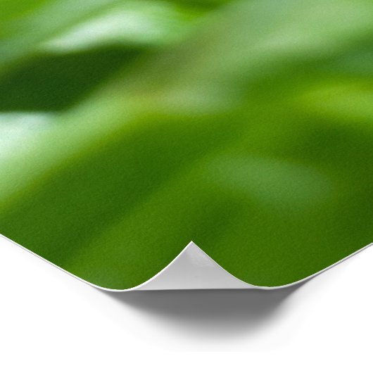 Vloer van vlinderbloemig en vult poster (Hoek)