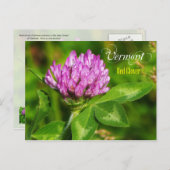 Vloer Vermont: Rode klaver Briefkaart (Voorkant / Achterkant)