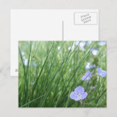 VloerbeemdBriefkaart Briefkaart (Voorkant / Achterkant)