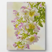 Vloerbeugels Fotoplaat (Voorkant)