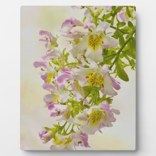 Vloerbeugels Fotoplaat (Voorkant)