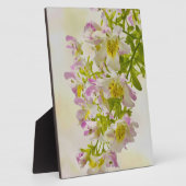 Vloerbeugels Fotoplaat (Zijkant)