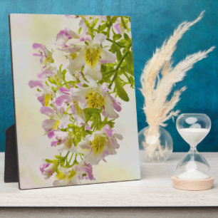 Vloerbeugels Fotoplaat