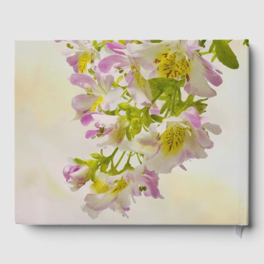 Vloerbeugels Gastenboek (Achterkant)