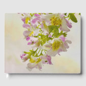 Vloerbeugels Gastenboek (Voorkant)