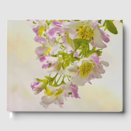 Vloerbeugels Gastenboek