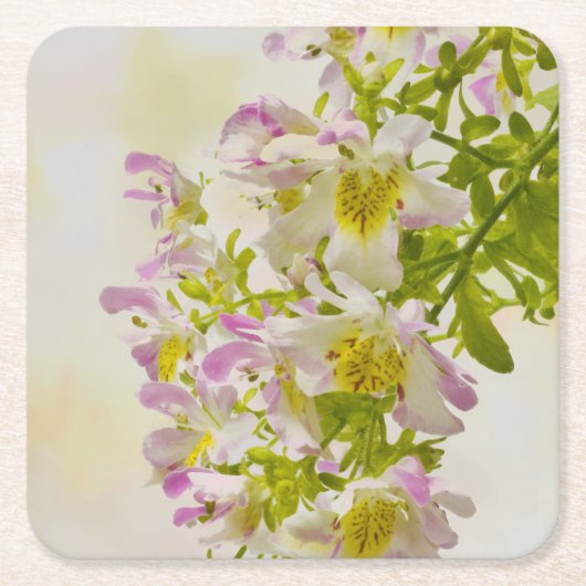 Vloerbeugels Kartonnen Onderzetters (Voorkant)